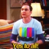 Reacciones Sheldon 12