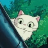 Cat anime 19