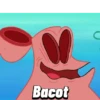 Patrick star 11