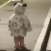 Niñitos Divertidos ✨🧒👶 13