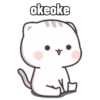 Peach Cat 16