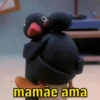 PINGU 🐧 11