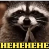 Animals Reaction 11