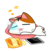 Gojill The Meow 2 16