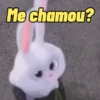 Memes de Pets🐾 6