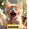 @bobcat.oficial tiktok kwai 11