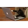 Memes gatitos 9