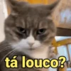 é meme & deboche 😌 9