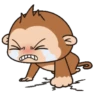 Funny Monkey 6