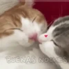 Gatitos pa' tu whatsaap ๏ᴥ๏ 6