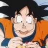 Dragon Ball 6