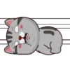 Kucing gemoy 1 9