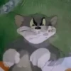 Memes Tom Y Jerry 🐈‍⬛ 🐭 6