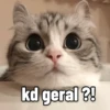 SÓ GATINHOS 🐈 7