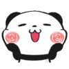 PANDA 17