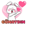 GÜNAYDIN
