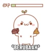 Pentol.bulet 6