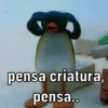 PINGU 🐧 15