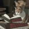 Gatitos pa' tu whatsaap ๏ᴥ๏ 14