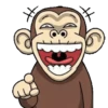 Funny Monkey 15