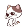 Meme kucing gerak lucu 12