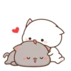 🤎🐱Gatitos🐱🤎 11