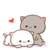🤎🐱Gatitos🐱🤎 9