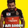 IPL 6