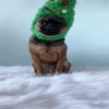 Рождественские мемы 🎄🎅 8