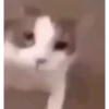 Gif for a simp 12