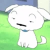 Shinchan 14