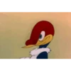Pica-Pau surpreso