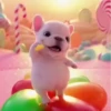 🧿 Pibble, o cachorro 🐕🐶 9