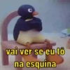 PINGU 🐧 13