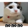 Reactions 6