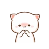 Mochi Cat 19