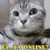 PEGUE AQUI SEU MEME  👇🏻 9