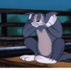 Tom and Jerry Animated 13