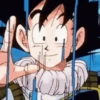 Dragon Ball 19