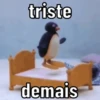 PINGU 🐧 6