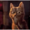 GATINHOS ANIMADOSS 12