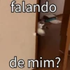 Cat 7