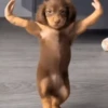 Животные, созданные с помощью ИИ 🐶 9