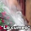 ✨Animados que necesitas✨ 9 11