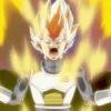 Dragon Ball 16