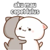 Peach Cat 9