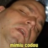 Lobinho 24