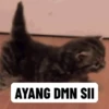 Random gif part 17