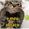 GATINHOS ANIMADOSS 5