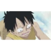 OnePiece2 8